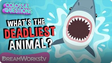 Colossal Questions: What's the Deadliest Animal on Earth?