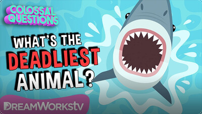 Colossal Questions: What's the Deadliest Animal on Earth?