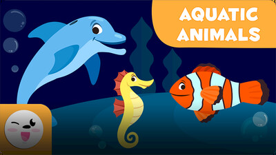 Animal Vocabulary: Aquatic Animals