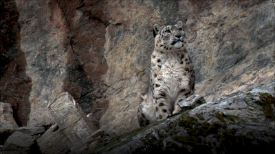 Hidden India: India Wildlife Hunting In Mountains