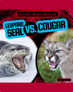 Bizarre Beast Battles: Leopard Seal vs. Cougar