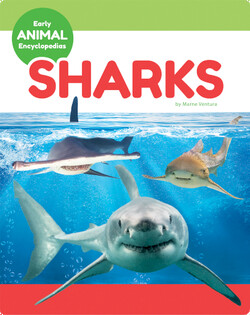 Early Animal Encyclopedias: Sharks&nbsp;