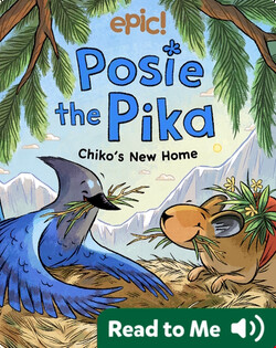 Posie the Pika: Chiko’s New Home