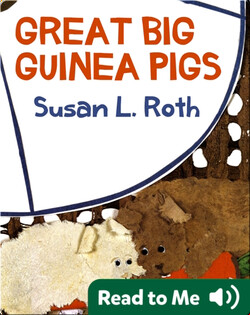 Great Big Guinea Pigs