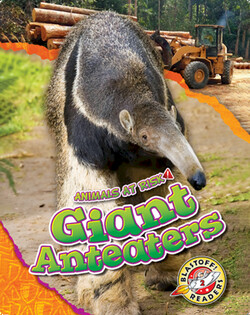 Giant Anteaters
