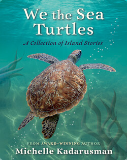 We the Sea Turtles