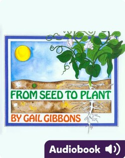 From Seed to Plant