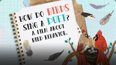 How Do Birds Sing a Duet