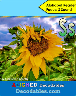 Ss Book