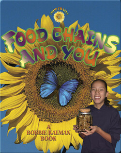Food Chains and You