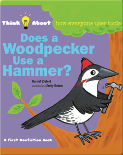 Does A Woodpecker Use A Hammer?