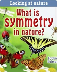 What Is Symmetry In Nature?