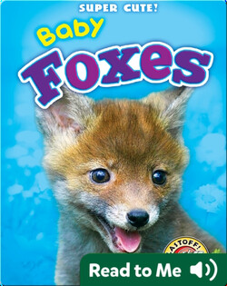 Super Cute! Baby Foxes