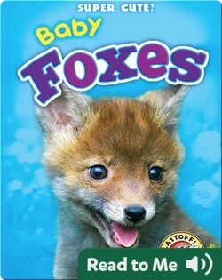 Super Cute! Baby Foxes