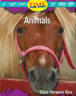 Animals