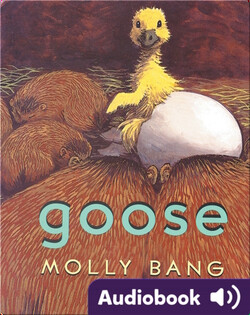 Goose