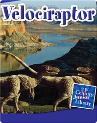 Velociraptor