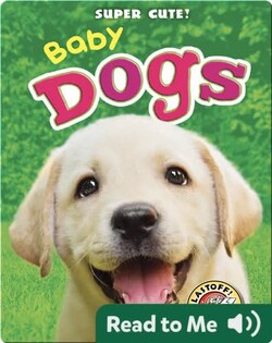 Super Cute! Baby Dogs