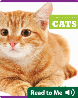 My First Pet: Cats