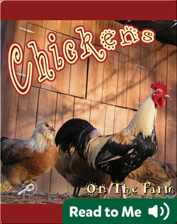Chickens On The Farm