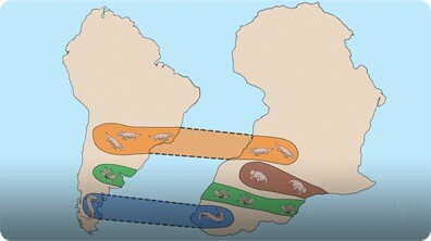 Continental Drift