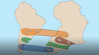 Continental Drift