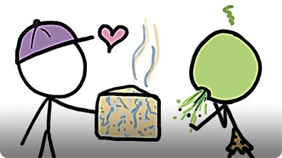 Why Do We Eat Spoiled Food?