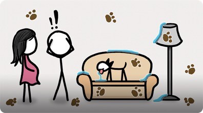 How your dog can protect you before you're born