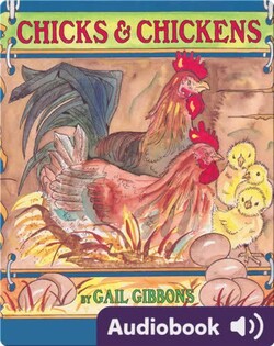 Chicks and Chickens