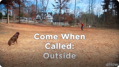 Come When Called 4: Outside | Teacher's Pet With Victoria Stilwell