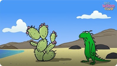 Iguana Song