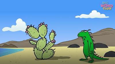 Iguana Song