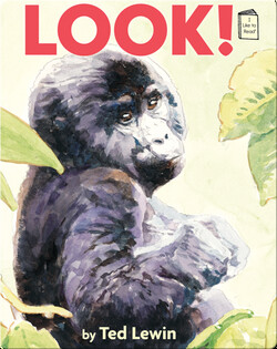Look!
