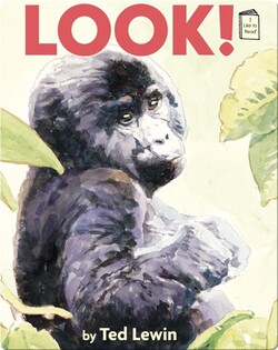 Look!