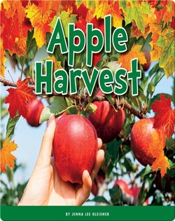 Apple Harvest