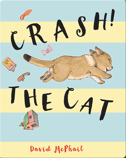 Crash! The Cat