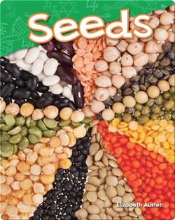 Seeds
