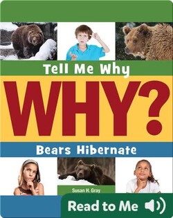 Bears Hibernate