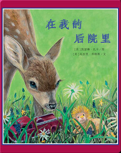 在我的后院里