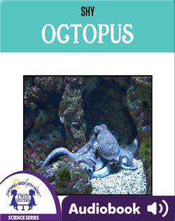 Shy Octopus