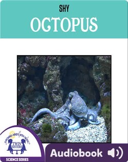 Shy Octopus
