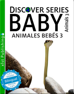 Animales Bebés 3/ Baby Animals 3