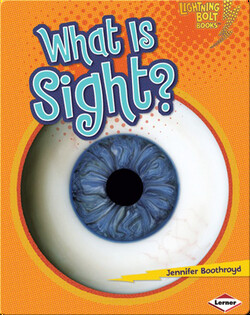What Is Sight?