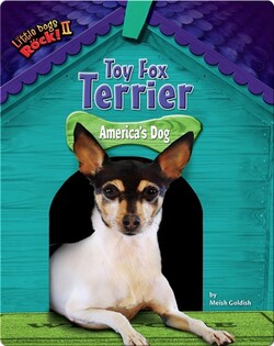 Toy Fox Terrier: America's Dog