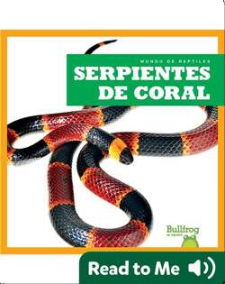 Serpientes de coral (Coral Snakes)
