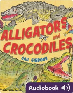 Alligators and Crocodiles