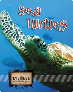 Sea Turtles