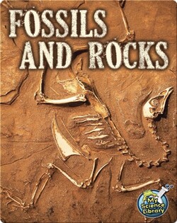Fossils and Rocks