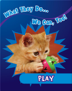 Play