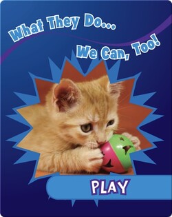 Play